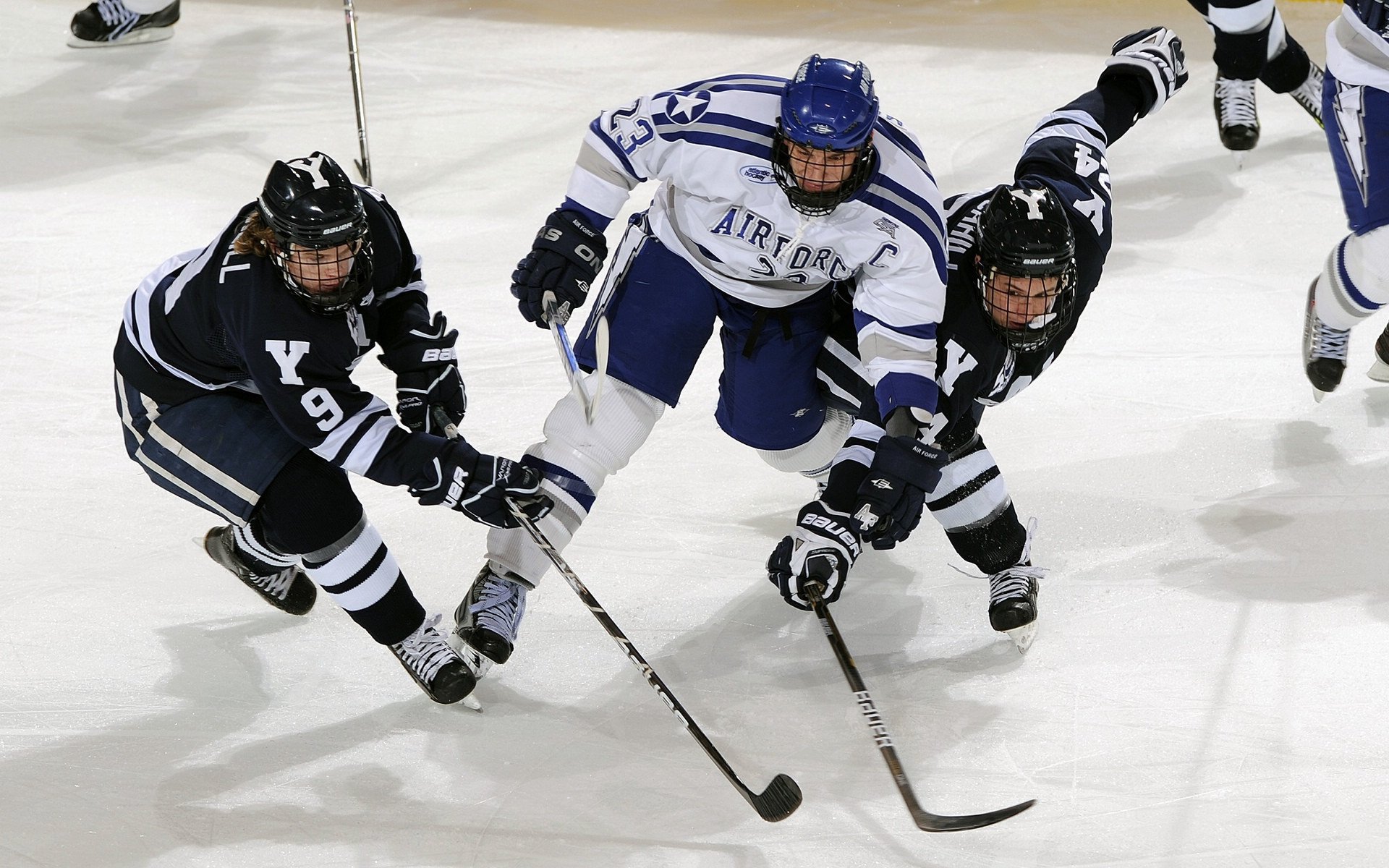荷兰男队水球协作高度默契,荷兰男子篮球队